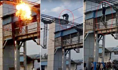 CG News : रेलवे स्टेशन के पोल पर चढ़ा छत्तीसगढ़ का युवक, लटकते ही धमाके के साथ ट्रैक पर गिरा, घटना का वीडियो तेजी से हो रहा वायरल....