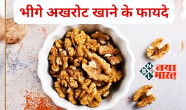 Soaked Or Raw Walnuts: अखरोट को खाने से पहले भिगोकर रखना जरूरी, जानिए इसके पीछे की 5 वजह...