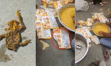 CG - आदिवासी बच्चों की सेहत से खिलवाड़ : एकलव्य विद्यालय में मध्यान्ह भोजन के अचार में मिला मरा हुआ मेंढक, एक्सपायर बेसन से बनाए जा रहे पकौड़े, देखें मिड डे मील में बच्चों को यह क्या परोसा जा रहा......