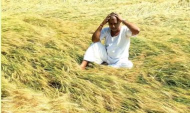 CG ब्रेकिंग : बेमौसम बारिश और ओलावृष्टि की मार झेलने वाले को सरकार देगी बड़ी राहत, साय सरकार ने दिए नुकसान की भरपाई के आदेश….