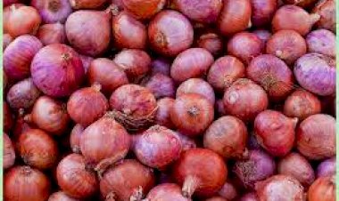 Onion Price Hike : इस साल नहीं रुलाएगा प्याज, सरकार ने बनाया यह प्लान