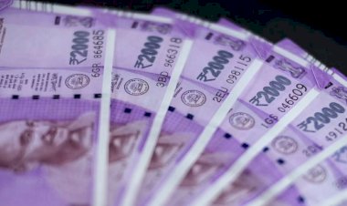 Salary Payment: होली से पहले कर्मचारियों को सरकार का तोहफा, 2 महीने का वेतन हुआ जारी…