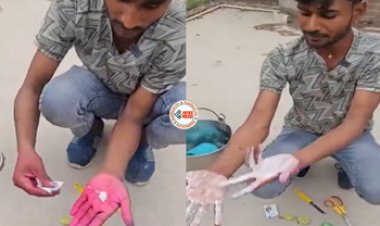 Holi Color removal Tips : अभी तक नही निकला होली का पक्का रंग! तो अपनाएँ ये तरीका, शख्स ने बताया गजब का नुस्खा, यहाँ देखें विडियो...
