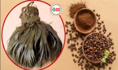 Coffee For White Hair: बिना केमिकल के सफेद बालों को काला बनाने का असरदार नुस्खा है कॉफी, बस जान लीजिए इस्तेमाल करने का सही तरीका....