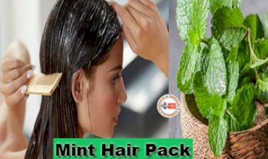 Mint Hair Pack : बालों के लिए वरदान है पुदीना हेयर पैक, इस तरह करें इस्तेमाल, जाने बनाने का तरीका...