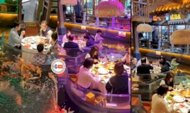 Restaurant Viral Video : मछलियों के बीच बैठकर खाना खाते दिखे लोग, कभी नही देखा होगा ऐसा अनोखा रेस्टोरेंट, देखें विडियो...