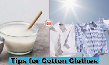 Tips for Cotton Clothes : सूती कपड़े हो गये बेजान! तो चावल के पानी के साथ करें ये देसी उपाय, फिर देखिये चमत्कार...