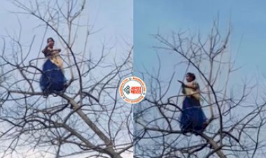 Ladki Ka Dance: डांस करने के लिए पेड़ पर चढ़ गई महिला, धड़ल्ले से वायरल हो रहा है Video...