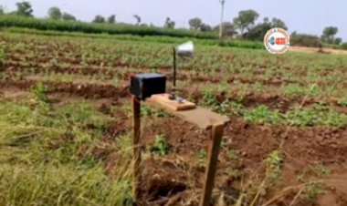 Smart Jugaad Video : आवारा मवेशियों से खेत को बचाने के लिए किसान ने लगाया कमाल का जुगाड़, नज़ारा देख नही होगा यकीन, देखें विडियो...