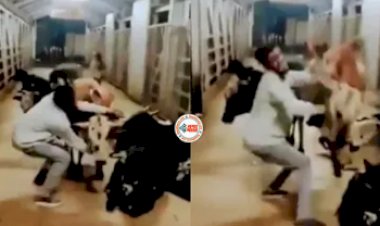 A Man Messing with a Cow : गाय को बिना मतलब ही परेशान करने लगा शख्स! फिर पड़ी ऐसी लात, नजारा देख आप भी हिल जायेंगे देखें विडियो...