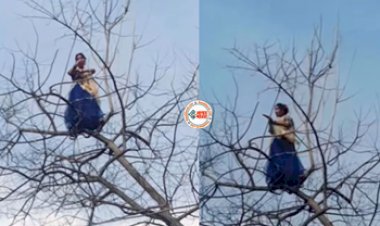 Girl Dance Viral News : जमीन छोड़ पेड़ पर चढ़कर अजीबो-गरीब डांस करने लगी लड़की, यहाँ देखें मजेदार विडियो...