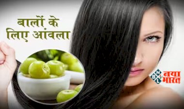 Amla For Hair: बालों पर इन 3 तरीकों से करें आंवला का इस्तेमाल, काले और घने हो सकते हैं सफेद बाल...