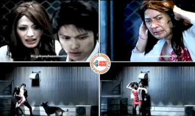 Premi Premika Video Viral: खूबसूरत प्रेमिका को डेट पर ले गया था प्रेमी, मगर डॉगी ने खोल दिया सारा पोल- देखें वीडियो...