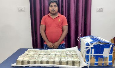 CG ब्रेकिंग : 50 लाख नकदी जप्त... चुनाव से पहले मिला कैश ही कैश... आलू से भरे पिकअप में छुपाया था कैश... फिर जो हुआ.....