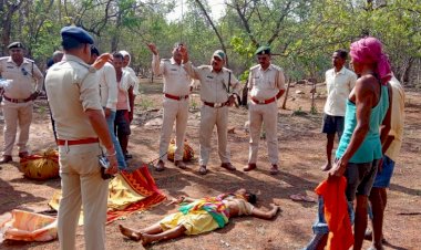 CG:तेंदुपत्ता तोड़ने गई महिला को हाथी ने पटक-पटककर उतारा मौत के घाट ,दहशत में ग्रामीण...
