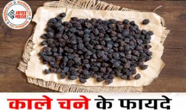 Benefits Of Black Gram: इसमें भिगोकर खाए काला चना, बढ़ती है बेशुमार ताकत,ब्लड प्रेशर को भी करता है कंट्रोल...