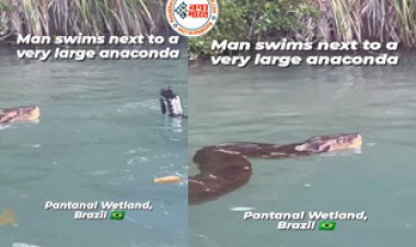 Giant Anaconda Viral News: विशालकाय एनाकोंडा के साथ शख्स ने किया कुछ ऐसा, देखते ही कांप गए लोग देखें वायरल वीडियो...