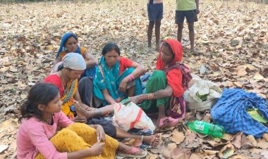 कुंवरपुर( झाड़ीपुर) जंगल में तेंदूपत्ता तोड़ने पेड़ पर चढ़ी महिला का फिसलने से टूटा पैर, हुई घायल अम्बिकापुर रेफर।
