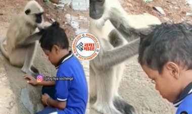 Funny Viral News: लड़के को पास में बैठा देख कंट्रोल नहीं कर पाया लंगूर, फिर हुआ कुछ ऐसा जिसे देखकर नहीं रुकेगी हंसी, देखे वायरल वीडियो...