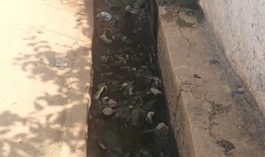 CG - बकावंड ब्लाक के अंतर्गत ग्राम पंचायत राजनगर में नाली की साफ - सफाई नहीं की जा रही, जिससे ग्रामीण हो रहें परेशान...
