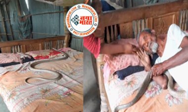 Uncle Viral News: गहरी नींद में सो रहे थे चाचाजी तभी लिपट गया सांप, आंख खुलते ही सूख गए बेचारे, उड़ गए नेटवर्क, देखें वायरल वीडियो....
