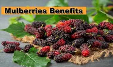 Mulberries Benefits : ये फल है छोटा पैक बड़ा धमाका! विटामिन से है भरपूर, कई बीमारियों के खतरे को करता है कम, इसके सेवन से मिलते है कई लाभ...