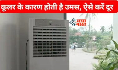 Cooler Moisture Tips: गर्मी में कूलर से हो रही है उमस, तो अपनाएं ये कमाल का जुगाड़, यहाँ देखें आसान टिप्स...