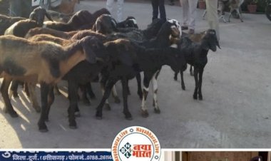 CG Bakra Chor : भेड़-बकरा चोरों के 2 गिरोह पर कार्यवाही,लग्जरी गाड़ी से करते थे तस्करी,चोरी कर मानते थे पार्टी...सरगना सहित 5 गिरफ्तार....
