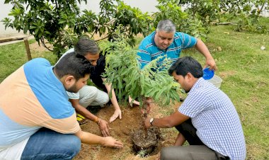 विधायक राजेश अग्रवाल द्वारा  विश्व पर्यावरण दिवस के अवसर पर परिवार के साथ पौधारोपण किया ।