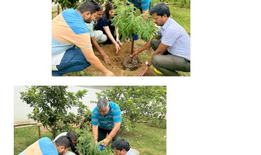 विधायक राजेश अग्रवाल द्वारा  विश्व पर्यावरण दिवस के 
अवसर पर परिवार के साथ पौधारोपण किया