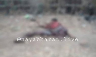 Elephant attack In Chhattisgarh: प्रदेश में यहां हाथी का कहर जारी,हाथी ने पटक कर बुजुर्ग को मार डाला,फिर शव के कर दिए टुकड़े….