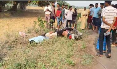 CG - करंट बना काल : हाईवोल्टेज तार की चपेट में आए दो युवक, मौके पर ही तोड़ा दम, गांव में पसरा मातम, जांच में जुटी पुलिस.....