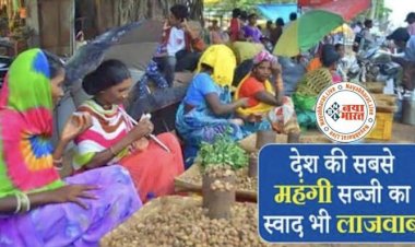 Chhattisgarh News : देश की सबसे महँगी शाकाहारी सब्जी का स्वाद भी लाजवाब,अब आ गया छत्तीसगढ़ के बाजारो में स्वादिष्ट बोड़ा...जाने क्या है मार्केट में बोड़ा की कीमत…