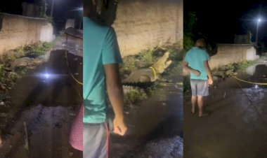 CG - सड़क पर अचानक आया विशालकाय मगरमच्छ, जिंदा बकरे को बनाया शिकार, फिर जो हुआ...... वन विभाग ने ऐसे किया रेस्क्यू…....