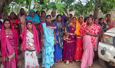 पचपेड़ी क्षेत्र के कोकड़ी डीपरापारा में पिछले एक हफ्ते से बिजली केबल जलने से बिजली आपूर्ति हैं बाधित ग्रामीण शिकायत ले कर पहुचें मस्तूरी क्यों बार बार क्षेत्र से आ रही बिजली की शिकायत कहां हैं क्षेत्र का जिम्मेदार क्या कहते हैं उपभोक्ता जानें पढ़े पूरी खबर