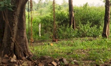 कोरोना महामारी के दौरान जिन अज्ञात लोगों का अंतिम संस्कार किया गया था, 4 वर्ष पश्चात सक्षम करेगा अस्थित विसर्जन, देव तुल्य कार्य की जिला दंडाधिकारी ने दी अनुमति : अविनाश सिंह गौतम, संयोजक सक्षम