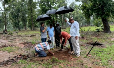 अंबिकापुर विधायक राजेश अग्रवाल जी के पहल पर 

उनके निर्देशानुशार प्रतिनिधियों एवं फॉरेस्ट विभाग के 

अधिकारियो द्वारा वृक्ष रोपड़ की शुरूवात की गई