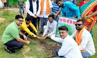 एक पेड़ मां के नाम : नगर में हजारों हाथ लगे हैं एक पेड़ मां के नाम -- सुरेश गुप्ता