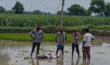 CG- किसान की मौत : खेत में काम करने गए किसान की बिजली तार की चपेट में आने से मौत, विद्युत विभाग की लापरवाही के चलते पहले भी एक युवक और कई मवेशियों की जा चुकी है जान…...