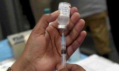 CG - सत्यनारायण पूजा का प्रसाद खाने के बाद पूरा गांव लगवा रहा रेबीज का वैक्सीन, स्वास्थ्य विभाग में मचा हड़कंप, जानिए क्या है पूरा मामला.....