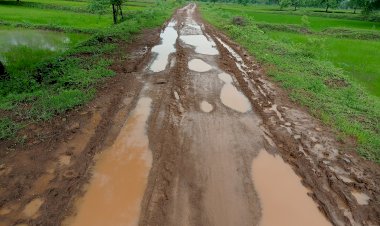 आदिवासी गाँव आमाकोनी पहुंच मार्ग चढ़ा भ्रस्टाचार की भेंट पहली बारिश में 22 लाख की लागत से बनें रोड का हुआ बुरा हाल ग्रामीणों का आरोप ठेकेदार ने कर दिया खेला अब आंदोलन की हो रही तैयारी पढ़े पूरी ख़बर