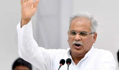 पूर्व सीएम भूपेश बघेल सुर्खियों में आवारा पशुओं की समस्या को लेकर प्रशासन को दे डाली चेतावनी पढ़े पूरी ख़बर