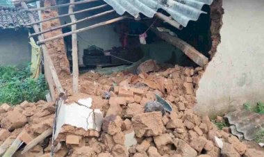 CG - पिता-बेटी समेत चार की मौत : हाथी ने फिर मचाया तांडव, हमले से पिता-बेटी समेत चार लोगों की मौत, गांव में पसरा मातम.....