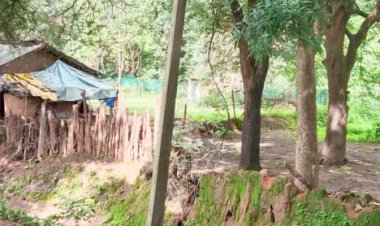 CG - हरवेल प्लाट पारा स्थित विद्युत पोल को सुधारा गया, नया भारत के खबर का हुआ असर...