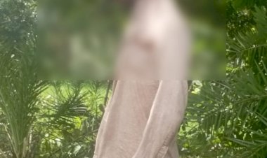 CG - पेड़ पर लटकती मिली युवक की लाश, ये बोलकर निकला था घर से, परिजनों ने जताई ये आशंका, हत्या या आत्महत्या जांच में जुटी पुलिस.....
