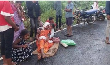 CG ACCIDENT ब्रेकिंग : श्रद्धालुओं से भरी पिकअप हुई बड़े हादसे का शिकार, मची चीख पुकार, महिला और बच्चे थे सवार, चार की हालत गंभीर....