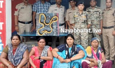 CG- महिलाओं का गैंग पकड़ाया: भीख मांगने के बहाने सोने का चैन पार, ऑटो में घूम-घूम कर रेकी, तरीका जान रह जाएंगे हैरान