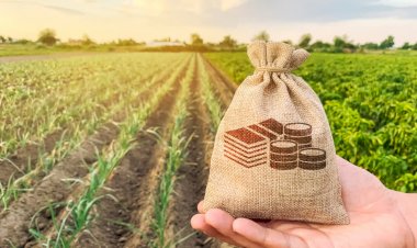 CG - दीपावली से पहले किसानों को मिला तोहफा : प्रधानमंत्री नरेंद्र मोदी ने छत्तीसगढ़ के किसानों के खातों में जारी किए 566 करोड़ 77 लाख रुपए, सीएम साय ने जताया आभार.....