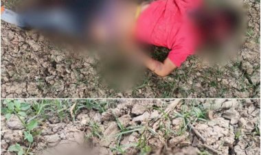 CG - चलती ट्रेन में दरवाजे से बाहर झांक रहा था युवक, खंभे से टकराया सिर, गिरने से शरीर के उड़े चीथड़े, मौके पर हुई मौत.....