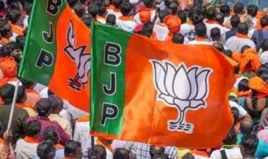 CG - BJP Star Pracharak List : छत्तीसगढ़ में भाजपा ने जारी की स्टार प्रचारकों की सूची, मुख्यमंत्री साय, नितिन नबीन समेत इन दिग्गजों का नाम शामिल, देखें लिस्ट...